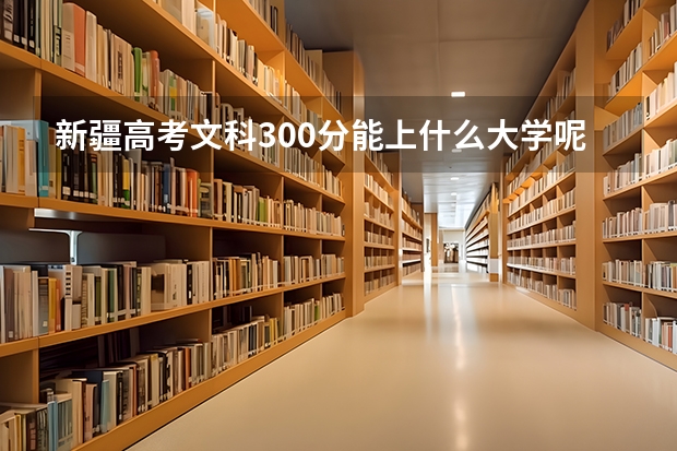新疆高考文科300分能上什么大学呢？