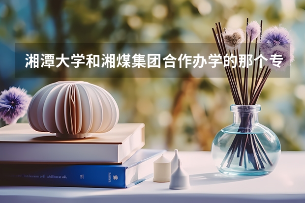 湘潭大学和湘煤集团合作办学的那个专业怎么样?毕业后待遇怎么样?