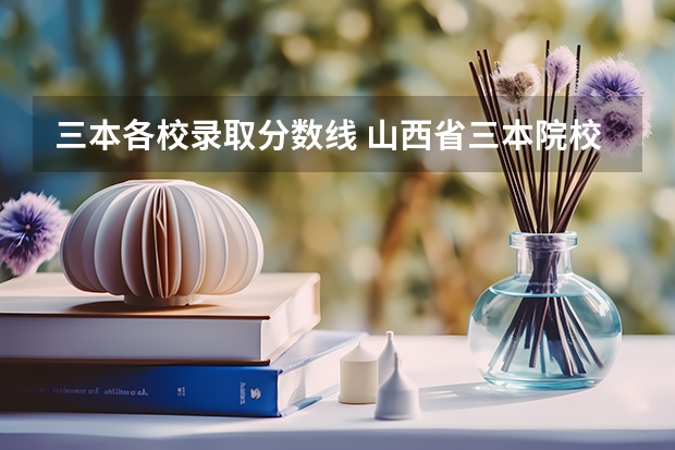三本各校录取分数线 山西省三本院校录取分数线