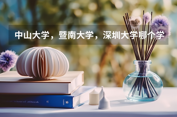 中山大学，暨南大学，深圳大学哪个学校法律专业好