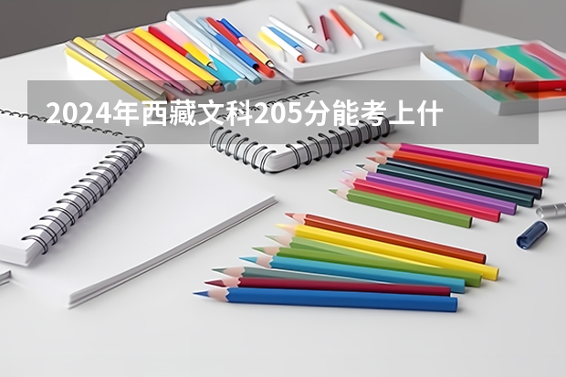 2024年西藏文科205分能考上什么大学？