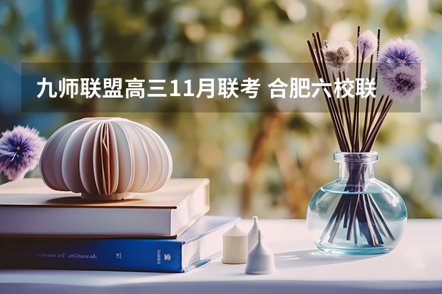 九师联盟高三11月联考 合肥六校联盟2024学年第一学期期中联考