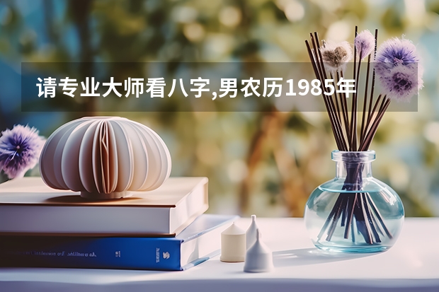 请专业大师看八字,男农历1985年十月二是六,晚间七点,女农历,1989年十二月初五,上午九点,请大师批下八字!谢(数学答案)