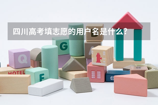 四川高考填志愿的用户名是什么?