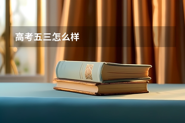 高考五三怎么样