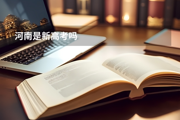 河南是新高考吗