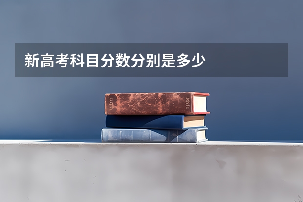 新高考科目分数分别是多少