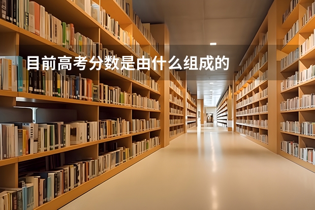 目前高考分数是由什么组成的
