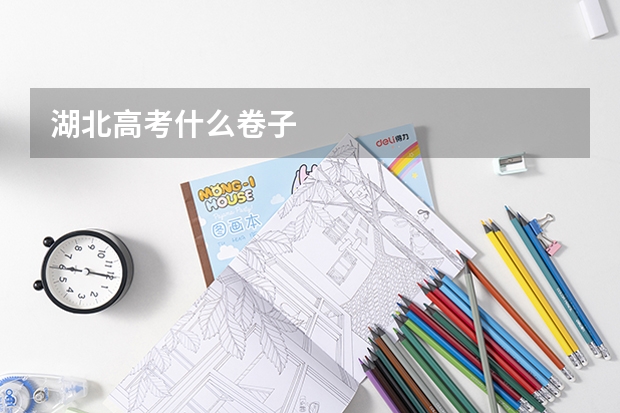 湖北高考什么卷子