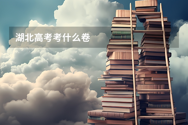 湖北高考考什么卷