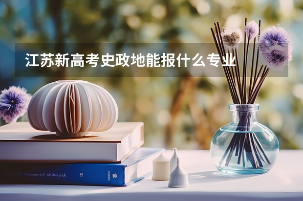 江苏新高考史政地能报什么专业