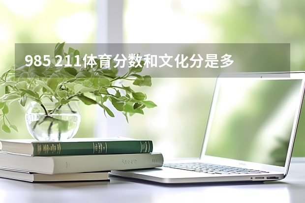 985 211体育分数和文化分是多少