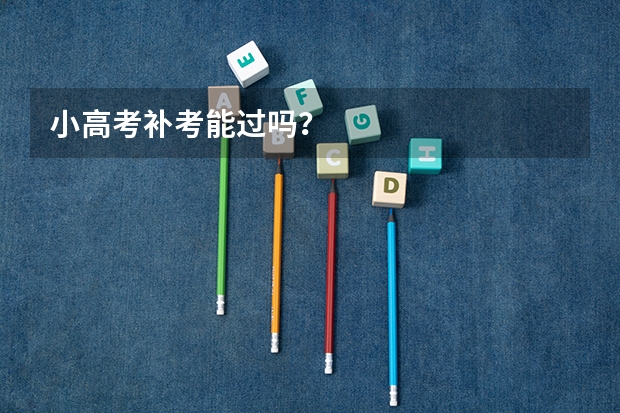 小高考补考能过吗？