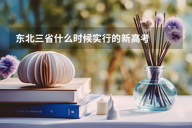 东北三省什么时候实行的新高考