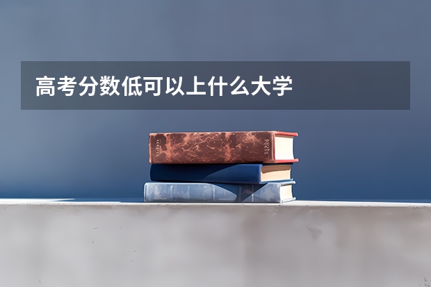 高考分数低可以上什么大学