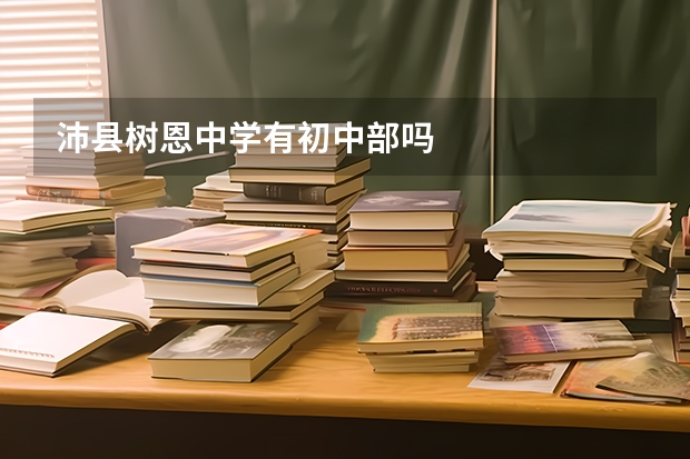 沛县树恩中学有初中部吗