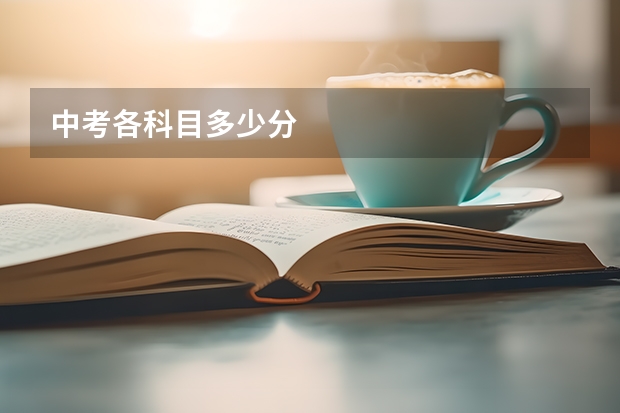 中考各科目多少分