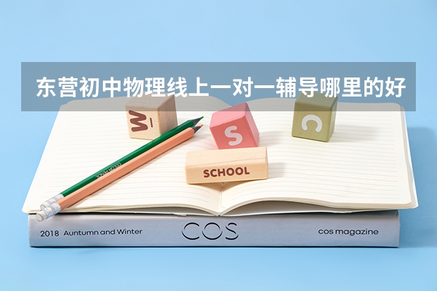 东营初中物理线上一对一辅导哪里的好？