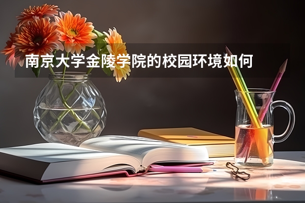 南京大学金陵学院的校园环境如何