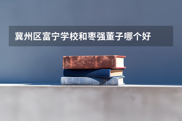 冀州区富宁学校和枣强董子哪个好