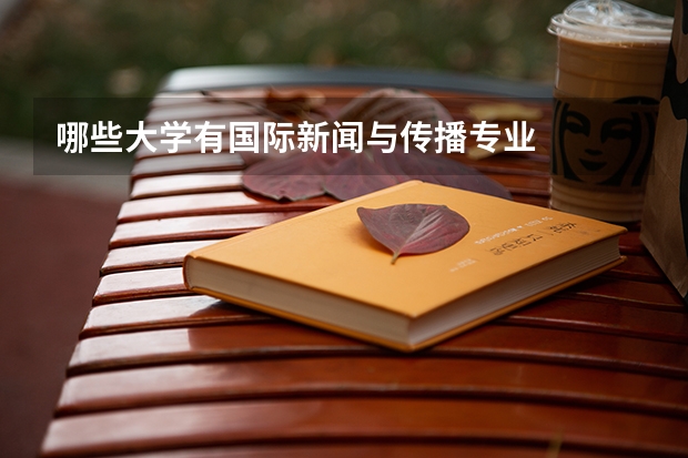 哪些大学有国际新闻与传播专业