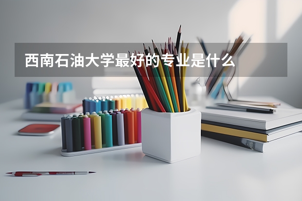 西南石油大学最好的专业是什么