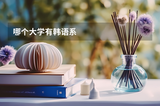 哪个大学有韩语系