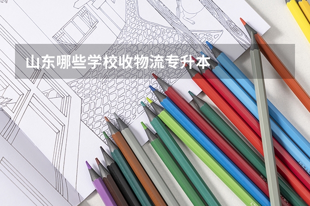 山东哪些学校收物流专升本