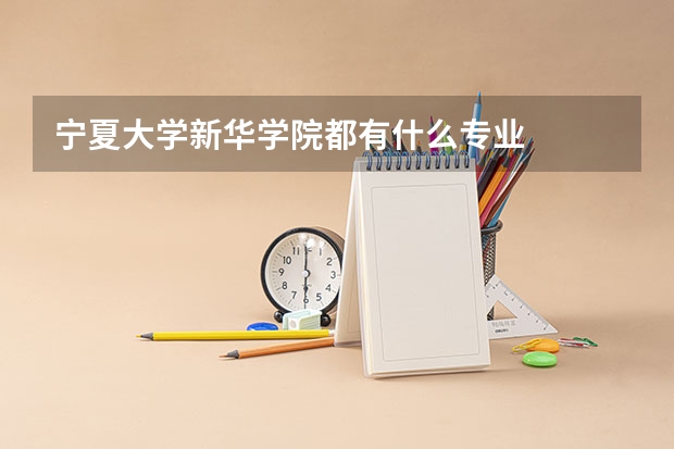 宁夏大学新华学院都有什么专业