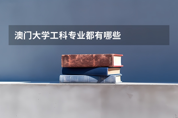 澳门大学工科专业都有哪些
